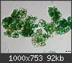 Hacer clic en la imagen para la versin completa

Nombre:  alga.jpg
Vistas: 256
Tamao:  92,4 KB (Kilobytes)
ID: 4957